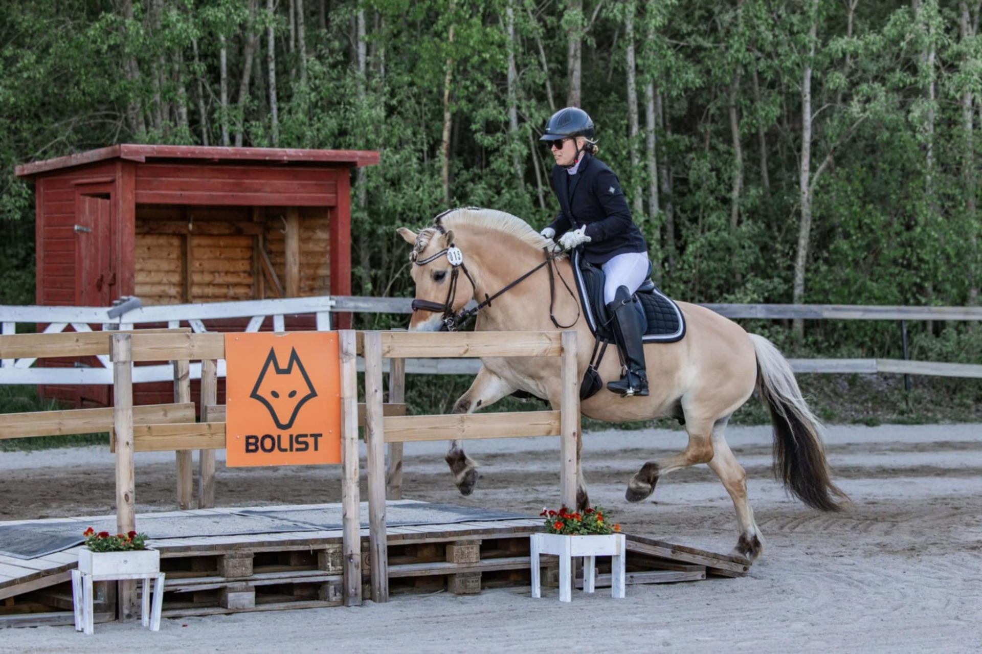 Foto: Josefine Strömberg
